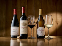 Best Red Wine Leopard’s Leap at 2026 National Wine Challenge