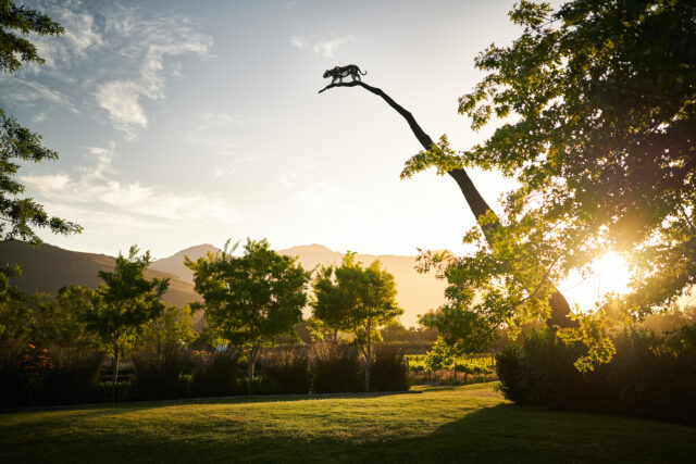Sunset Smooth Leopard's Leap_Exterior_Leopard statue with mountain_1