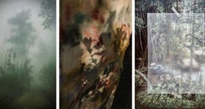 New Art Exhibition, “Among The Trees”, Opens At La Motte